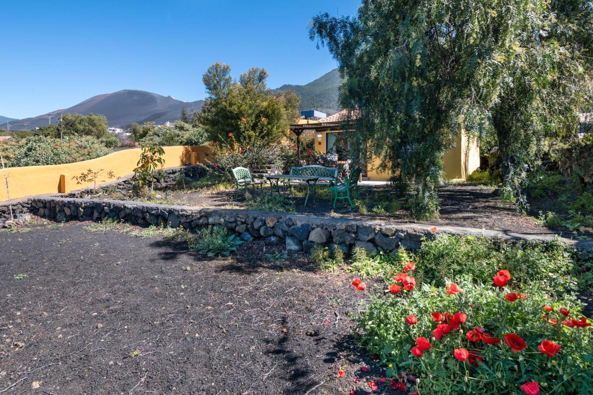 El Jardin De Las Pleyades Los Llanos De Aridane Bagian luar foto